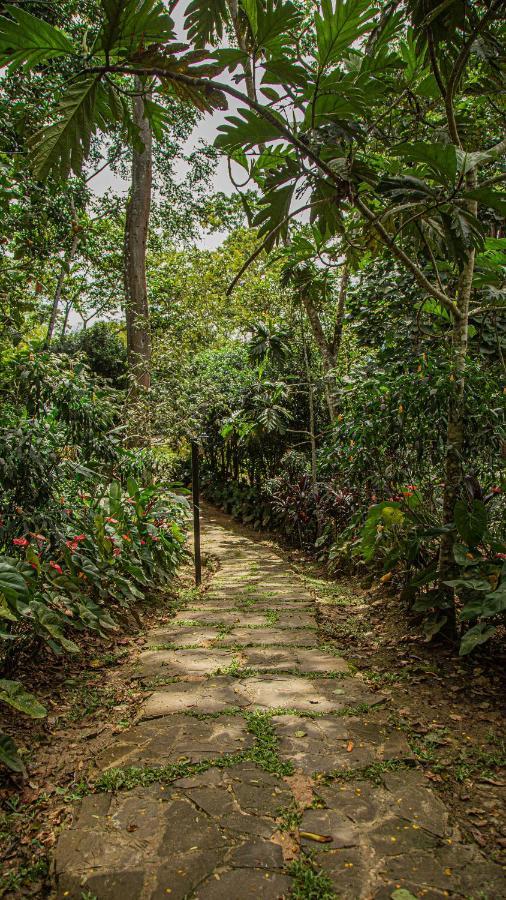 Kantu Garden Lodge Moyobamba Exteriör bild